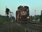 NS 8307